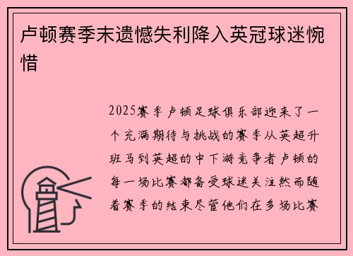 卢顿赛季末遗憾失利降入英冠球迷惋惜